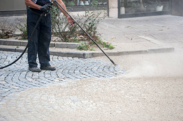 Best Gutter Cleaning  in Palatka, FL