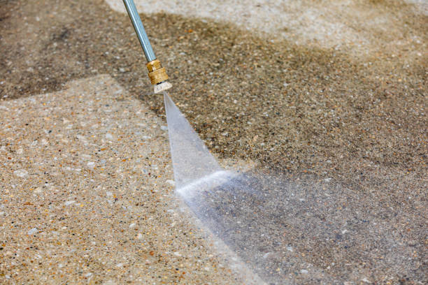 Best Soft Washing  in Palatka, FL