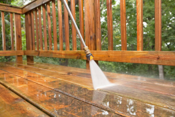 Best Roof Washing  in Palatka, FL